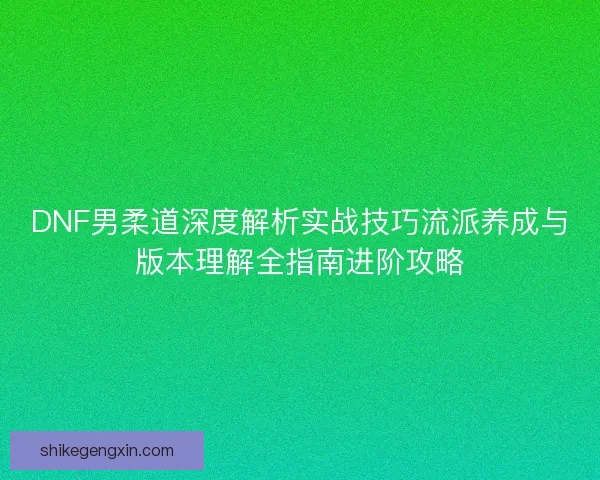 DNF男柔道深度解析实战技巧流派养成与版本理解全指南进阶攻略